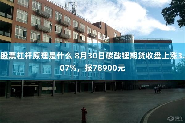 股票杠杆原理是什么 8月30日碳酸锂期货收盘上涨3.07%，报78900元