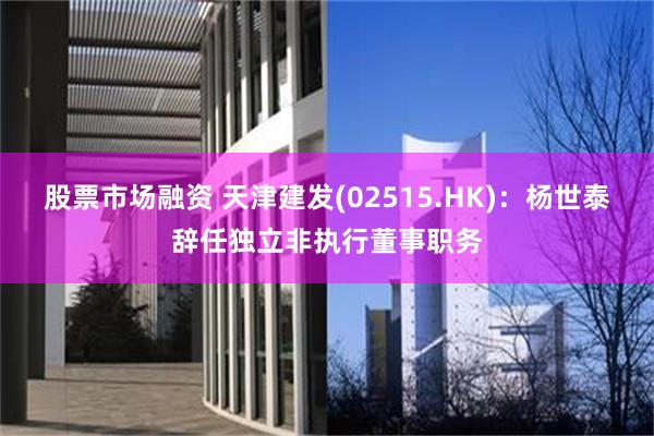 股票市场融资 天津建发(02515.HK)：杨世泰辞任独立非执行董事职务