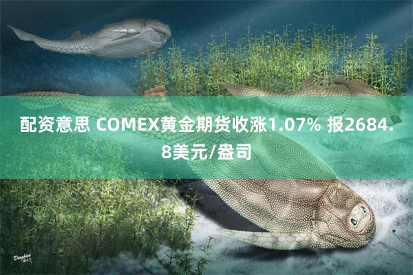 配资意思 COMEX黄金期货收涨1.07% 报2684.8美元/盎司