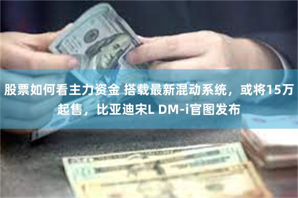 股票如何看主力资金 搭载最新混动系统，或将15万起售，比亚迪宋L DM-i官图发布