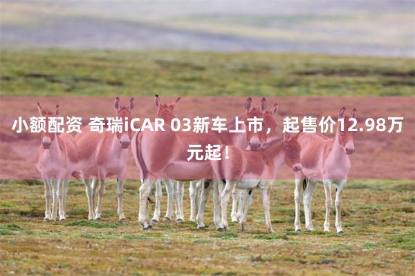 小额配资 奇瑞iCAR 03新车上市，起售价12.98万元起！