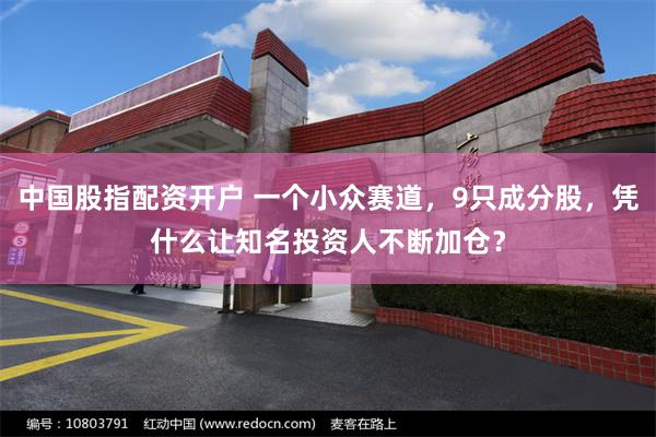 中国股指配资开户 一个小众赛道，9只成分股，凭什么让知名投资人不断加仓？