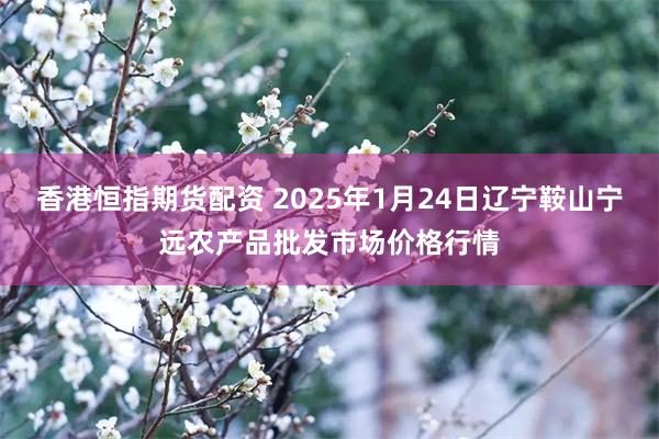 香港恒指期货配资 2025年1月24日辽宁鞍山宁远农产品批发市场价格行情