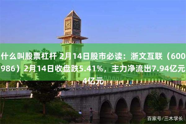 什么叫股票杠杆 2月14日股市必读：浙文互联（600986）2月14日收盘跌5.41%，主力净流出7.94亿元