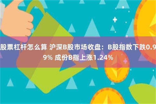 股票杠杆怎么算 沪深B股市场收盘：B股指数下跌0.99% 成份B指上涨1.24%